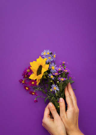 Autumn flower arrangement purple background female hands. Bouquet of colorful autumn flowers. Creative vertical greeting card. The layout for the design of greetings, the concept of the Mother's Dayの写真素材