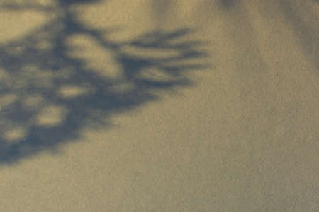 Shadows nature beige gray background. Neutral contrast design made of dry grass. Fashionable earthy...