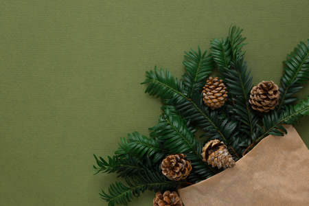 Spruce branches cones on a green background. Christmas natural festive design top view. Eco-friendly...