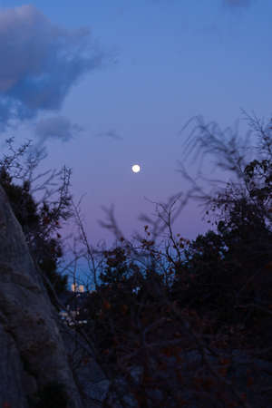 Full moon purple sky. A beautiful shade of the color of 2022 Very Peri. Silhouette of the moon trees in close-up. Natural bright futuristic background. The concept of space, the unknown, creativityの写真素材