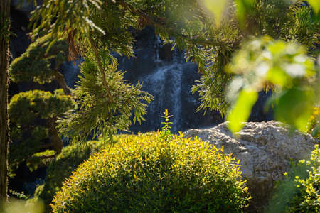 decorative waterfall park. Green summer natural background with sweat of the purest water. Beautiful decoration of parks, gardens in Japanese style. Large stones, various plants, ornamental bushesの写真素材