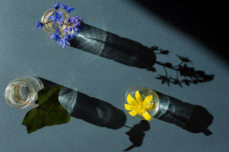 Flowers vase composition. Spring different flowers on a gray background. Conceptual holiday design. Top view of a horizontal composition in bright, harsh sunlight. Beautiful shadows, modern backgroundの写真素材
