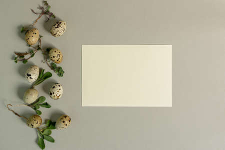 Easter eggs aesthetics of still life. Festive Easter composition in neutral tones. Stylish flat composition of green blades of grass quail eggs. Happy Easter. Flat lay in beige shades. copy spaceの写真素材