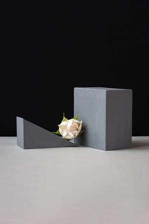flower composition pedestal. Minimalistic black and gray creative design. Geometric platforms for...