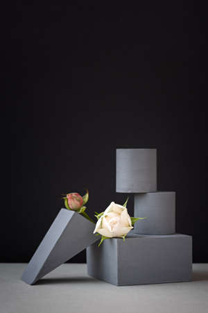 flower composition pedestal. Minimalistic black and gray creative design. Geometric platforms for...