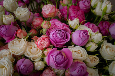 Pink purple white roses background. Top view of a large beautiful bouquet in different poses. The concept of Valentine's day, wedding, birthday. natural bright background. Mother's Day Greeting Cardの写真素材