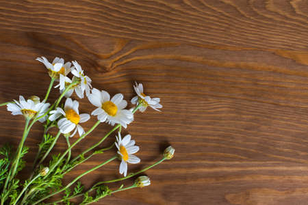 Daisies brown wooden background top view. Festive design with a bouquet of flowers. Creative floral flat lay. A composition of wild wildflowers. The concept of summer. Happy Mother's Day. copy spaceの写真素材