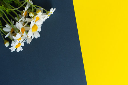 Daisies yellow gray background top view. Festive design with a bouquet of flowers. Creative floral flat lay. A composition of wild wildflowers. The concept of summer. Happy Mother's Day. copy spaceの写真素材