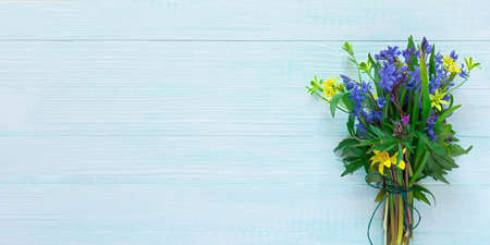 spring flower composition. Proleski Scilla primroses bouquet wooden mint background. Flat layout,...