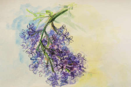 Lilac flowers watercolor. A blooming twig on watercolor paper. Outline with a black pen. The layout of the design of postcards and notebooks. A child's naive drawing. Simple composition with flowersの写真素材