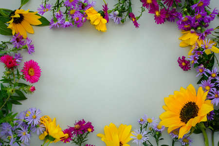 Autumn floral flat lay. Small multicolored asters on a gray pastel background top view. Beautiful design frame. Copy space, creative floral background. Mother's Day concept, mockup postcardsの写真素材