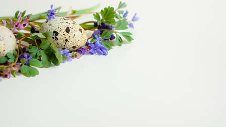 Easter composition spring flowers quail eggs on a light background. The concept of a happy Easter....