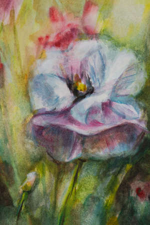 Poppy watercolor illustration. A hand-drawn vertical postcard. A beautiful purple flower on a green blurred background. Design of sketchbooks notebooks packaging. modern painting art creativityの写真素材