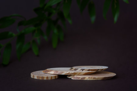 Wooden podium pedestal. Brown background dark green leaves. Product display concept. Mockup for cosmetic products, eco-goods and production. Marketing is natural. Minimalism with wooden sections.の写真素材