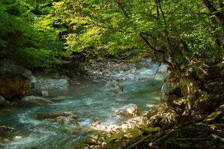 Mountain river green forest. Summer beautiful cool landscape in the forest with water. Natural horizontal background. A stream of clear water flows over huge stones. The concept of summer freshnessの写真素材