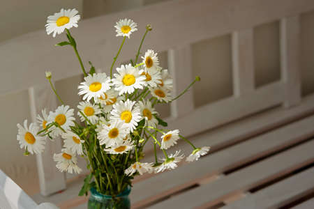 White daisies close-up in a vase. Warm sunlight, soft focus, macro yellow stamens. The concept of tenderness, purity, and innocence. Fragile romantic flowers.Healing wildflowers for natural cosmetics.の写真素材