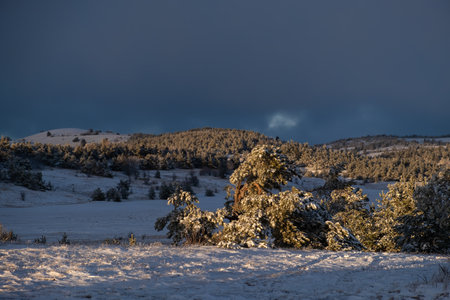 Beautiful winter landscape purple blue sky. View of the atmospheric coniferous forest and mountains. The concept of snowfall, storm. Lead-gray clouds over the forest. Fabulous scary natural backgroundの写真素材