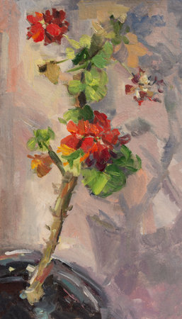 Geranium oil painting. Red delicate indoor flowers painted in oil on canvas. The original painting. Modern Impressionism. The art of oil painting. Author's work, creativity. Still life with flowersの写真素材