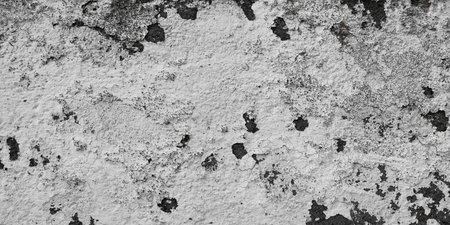 Black and white old wall. Grunge background for website design, web pages, printing. Cracked paint close-up on the wall. Horizontal concrete banner. Monochrome abstract vintage background. Copy spaceの写真素材