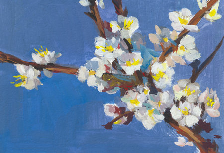 Blooming apricot gouache painting. Bright artistic background. A spring branch of apricot. Modern Impressionism. Beautiful delicate flowers on a blue background. Design of postcards sketchbook albumsの写真素材