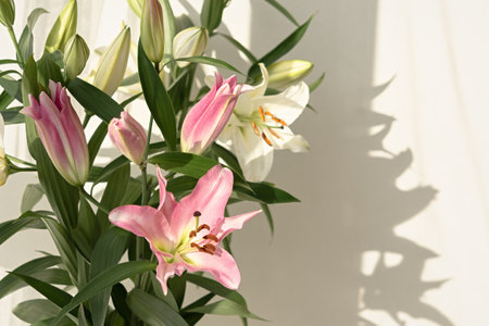 Pink delicate lilies close-up. Beautiful flowers in a warm light. Authentic background. Aesthetic romantic natural design. The concept of a holiday, Birthday, Mother's Day. Macro photo flowersの写真素材