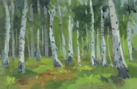 Birch forest oil painting. Green spring landscape. Beautiful illustration of the forest with oil paints. Author's work. Modern realistic art. Horizontal banner, colorful postcard sketch. Summer timeの写真素材