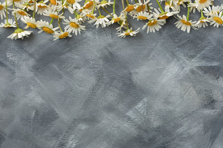 Daisies flat layout gray background. Authentic floral composition top view. Lots of space to copy. Summer spring bouquet of daisies on the table. Creative natural greeting card for Mother's Day.の写真素材