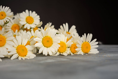 White daisies close-up on the table. Warm sunlight soft focus, macro yellow stamens. The concept of tenderness purity and innocence. Fragile romantic flowers. Healing wildflowers for natural cosmeticsの写真素材