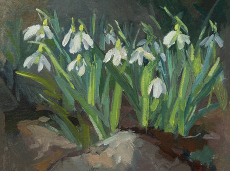 Snowdrops painting art. Beautiful illustration of blooming flowers in the forest. The first spring flowers. Handmade with oil paints. Artwork, painting. Layout for postcards, posters, notebooks.の写真素材