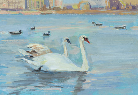 Swans couple gouache painting. Author's handmade. An original work of art. A beautiful couple of swans in love on a blue lake. Realistic art of painting. Designer postcard hand-drawn on paper.の写真素材