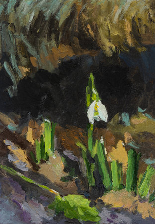 Snowdrops oil painting. Beautiful illustration of blooming flowers in the forest. The first spring flowers. Handmade with oil paints. Artwork, painting. Layout for postcards, posters, notebooks.の写真素材