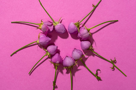 Roses creative composition pink background. Top view of the pattern of rosebuds. Original greeting card Mother's Day, International Women's Day, Valentine's Day, wedding. Women's beauty conceptの写真素材