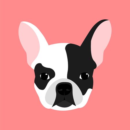 Head of a white and black french bulldog on a pink background, vector.のイラスト素材