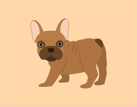 Cute puppy french bulldog turned ass, vector.のイラスト素材