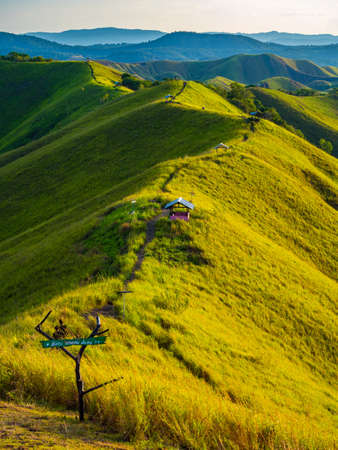 Beautiful view of mountain covered with grass in Jayapura, Indonesiaの写真素材