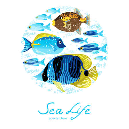 Colorful tropical fish. Marine life. It can be used for decorating of invitations, cards, decoration for bags and clothes.のイラスト素材
