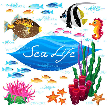 Vector set of sea animals and seaweeds. Elements for design. Marine life. Collection of items for scrapbooking. Place for your text. It can be used for decorating of invitations, cards, decoration for bags and clothes.のイラスト素材
