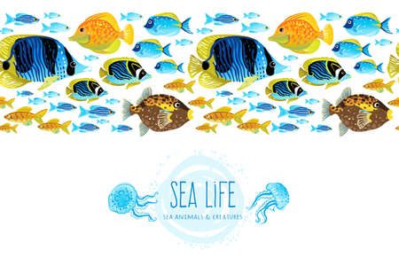Horizontal seamless sea life border. Ocean pattern with colorful tropical fishes. Bright marine decor for wallpaper. Blue summer background. Maritime illustration.のイラスト素材