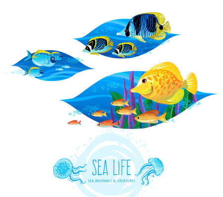 Vector set of sea animals and seaweeds. Elements for marine life design. Maritime characters for invitations, cards, decoration. Ocean patterns with colorful tropical fishes. Illustration for wallpaper.のイラスト素材
