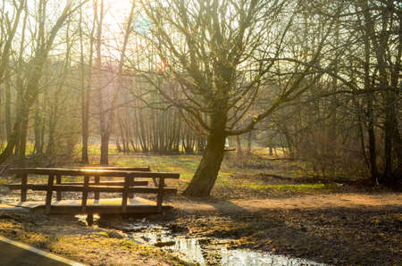 Old wooden bridge in autumn forest in sunlight