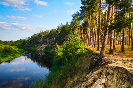 beautiful landscape of river near pine forestの写真素材