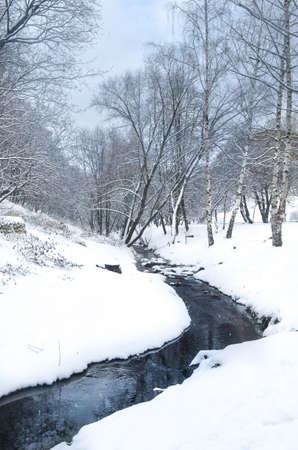 A Snow Covered Stream In The Forestの写真素材