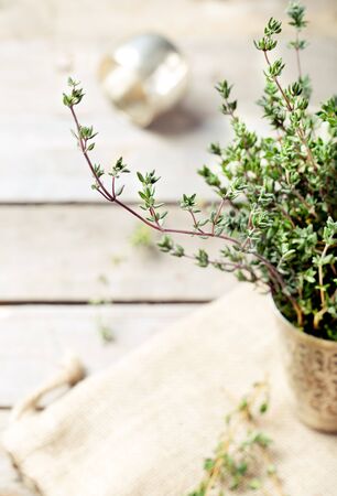 Thyme springs in a vintage silver cup on a wooden backgroundの写真素材