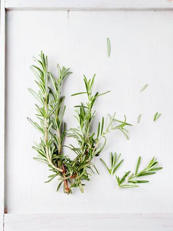 Fresh rosemary bound, and rosemary sprigs in a glass, on a white wooden background.の写真素材