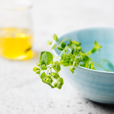 Twigs of oregano on a white background Blue bowl