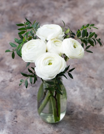 White ranunculus flowers in a glass vase Grey background Copy spaceの写真素材