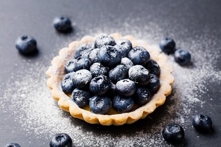Blueberry tartlet, pie, tart with vanilla custard. Slate stone background. Copy space.の写真素材