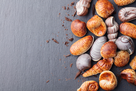 Chocolate candies, traditional Belgian shell shape. Black slate background. Top view. Copy spaceの写真素材