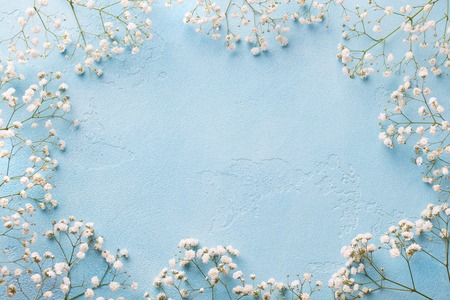 Frame of white flowers, gypsophila.の写真素材