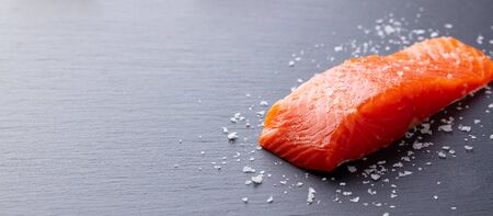 Salmon fillet with sea salt. Grey slate background. Copy space.の写真素材